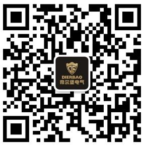 帝尔堡电气-帝尔堡科技（深圳）有限公司